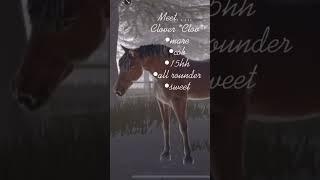 NEW RP!#fyp#viral#horses#equestrian#edit#rp#roblox#SW#shortvideos#viralvideos