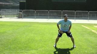 How to Track Fly Balls