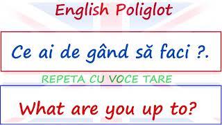 FRAZE UTILE  # INVATA ENGLEZA # Poliglot English