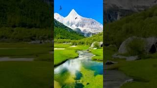 Hidden PARADISE : A Serene Mountain Pond in the Wild #hiddenparadises #naturelovers #mountainlake