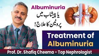 Treatment of Albuminuria or Proteinuria | Diet in Albuminuria #albuminuria #proteinuria #uacr