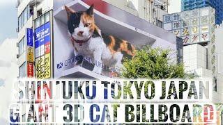 [4K] Giant Cat 3D Billboard - Shinjuku Tokyo Japan - July 24, 2021