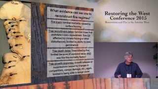 Tree-Ring Reconstructions of Fire and Forest Histories