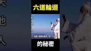 六道輪迴圖原來暗藏著「生命的終極秘密」 ! 【地球旅館】