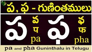 ప, ఫ గుణింతాలు | pa, pha gunintham | How to write pa, pha guninthalu |Telugu varnamala Guninthamulu