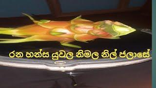 රන හන්ස යූවල නිමල නිල් ජලසේ  bongo song