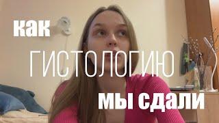 медицинский влог: сдаем гистологию, как ее учить?