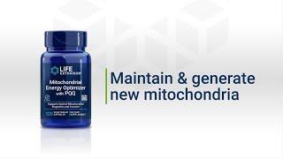 Mitochondrial Energy Optimizer with PQQ –Support Your Youthful Energy