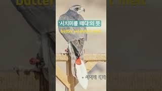 #shorts#시치미#어원