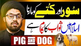 Pig And Dog Ko Marna Islam Main Kaisa Hai ?? | Maulana Syed Shahryar Raza Abidi