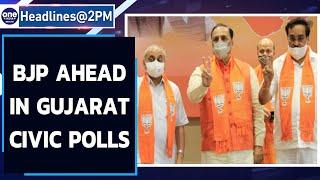 Gujarat civic polls: BJP makes big gains | Celebrations begin | Oneindia News