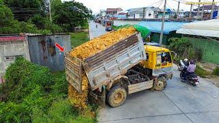 Start New Project Landfill Flooded Clear Forest !! Bulldozer Push Soil, 5Ton Truck Unloading Soil