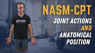 Joint Actions And Anatomical Positions || NASM-CPT Exam Study Prep