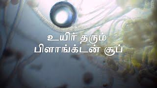 உயிரின் கலவை