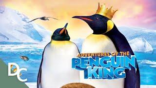 Adventures of the Penguin King | Full Documentary | Documentary Central