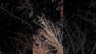 The beauties of snowfall nature vlog#shorts #snowfall#nature waterfall