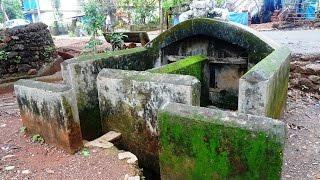 Maina Spring (Batim Goa)