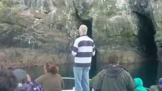 Gobbins Cliff Path Puffins & Caves"afloat from a boat" Ireland