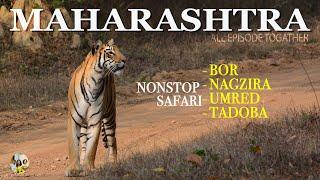 TOP 4 WILDLIFE SAFARI OF  MAHARASHTRA - BOR - NAGZIRA -  UMRED KHARANDLA - TADOBA ALL IN ONE EPISODE