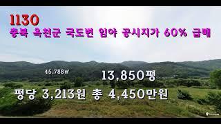 [번호 1130]옥천군 국도변 임야 공시지가 60% 평당3,213원