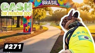 French Bulldog daily walking CASH ARCHIVALDO Brasil #271