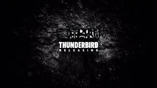 Thunderbird Releasing (2018)