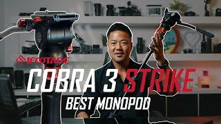 Reasons Why the iFootage Cobra 3 Strike is the Best Monopod for Wedding Videographers