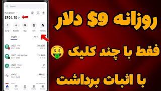 درآمد دلاری روزانه 9$ دلاری با اثبات برداشت| کسب درآمد دلاری روزانه