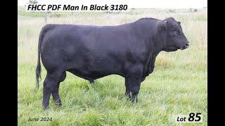 Lot 85   FHCC PDF Man In Black 3180