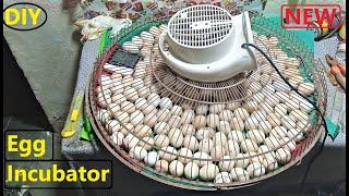 DIY-HOMEMADE EGG INCUBATOR FOR CHICKEN EGGS || Hatch eggs at home without any temperature controller