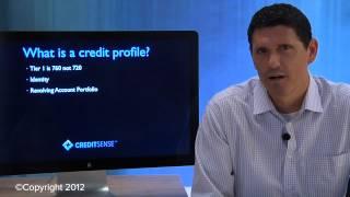 What is a Credit Profile? What Makes a Credit Score? Tier 1 Credit Scores by CreditSense