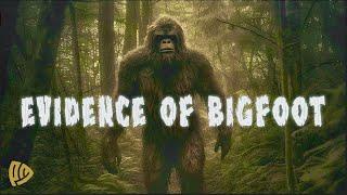 ‘Evidence of Bigfoot’ - Whitehall Bigfoot Series