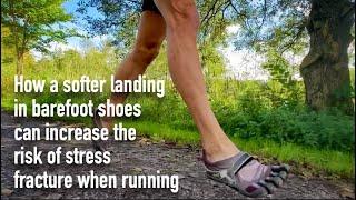 How a softer landing in barefoot shoes can increase the risk of stress fracture when running