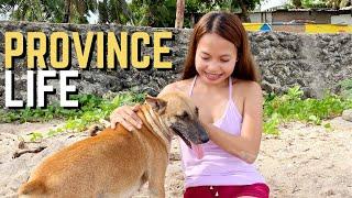 FILIPINA PROVINCE LIFE |  American  Couple | BACK TO LDR