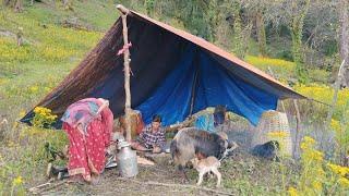 Primitive Rural Village | Chapter 53 | Organic Shepherd Primitive Lifestyle | Real Himalayan Life.