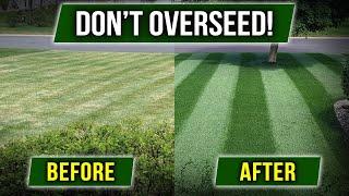 STOP OVERSEEDING! There's a Cheaper Way!!