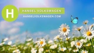 Hansel VW - Cabin Air Filter