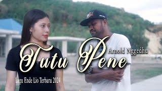 TUTU PENE // LAGU ENDE LIO TERBARU 2024 // ARNOLD NGGEDHU