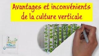 ‍ Avantages et inconvénients de la culture verticale