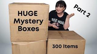 HUGE Drugstore Mystery Boxes | 300 Items | Part 2