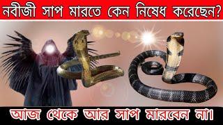 সাপ মারলে কি হয় ইসলাম কি বলে,সাপ মারার বিধান,ভয়ংকর প্রাণী,Islamic videos