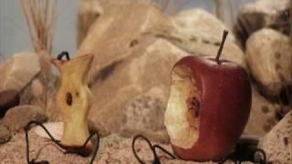 Apples and Tangerines (Original) - The Phoenix Foundation