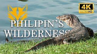 Wild Chronicles An Untamed Journey through the Philippine Wilderness