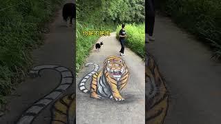 在马路上画一只老虎，路人看到会有啥反应 #彩绘张世先 #狗狗的心思都写在脸上了