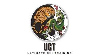 Ultimate Chi Training 3rd Exercise: Xi Sui Jing Bone Marrow Cleansing