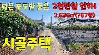 0947 넓은 포도밭과 텃밭을 가진 시골 단독주택 소개합니다