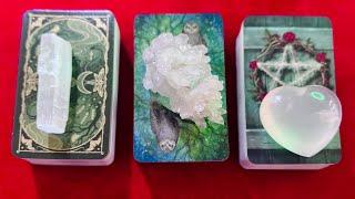 ARE YOU ON THEIR MIND RIGHT NOW?!INTENIONS & ACTIONS PICK A CARD Timeless Tarot Love Reading