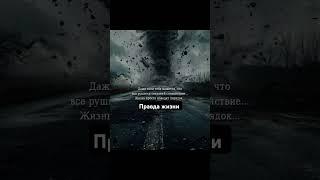 #правда жизни