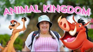 Animal Kingdom Fun Day | DinoLand USA Updates | Disney World