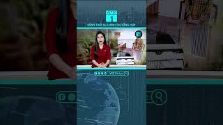 Kết thúc điều tra vụ án "Hotgirl Tina Dương" Ninh Thị Vân Anh | VTC1